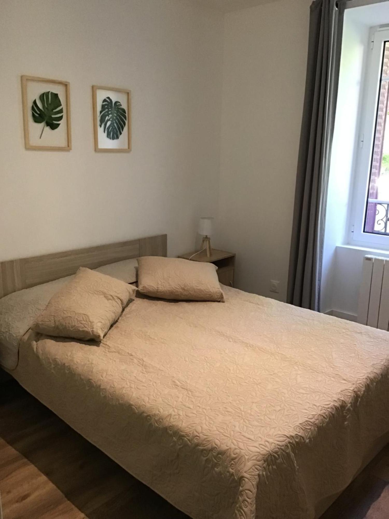 Magnifique T4 Avec Terrasse A Saint-Nectaire - 8 Pers Lejlighed Eksteriør billede